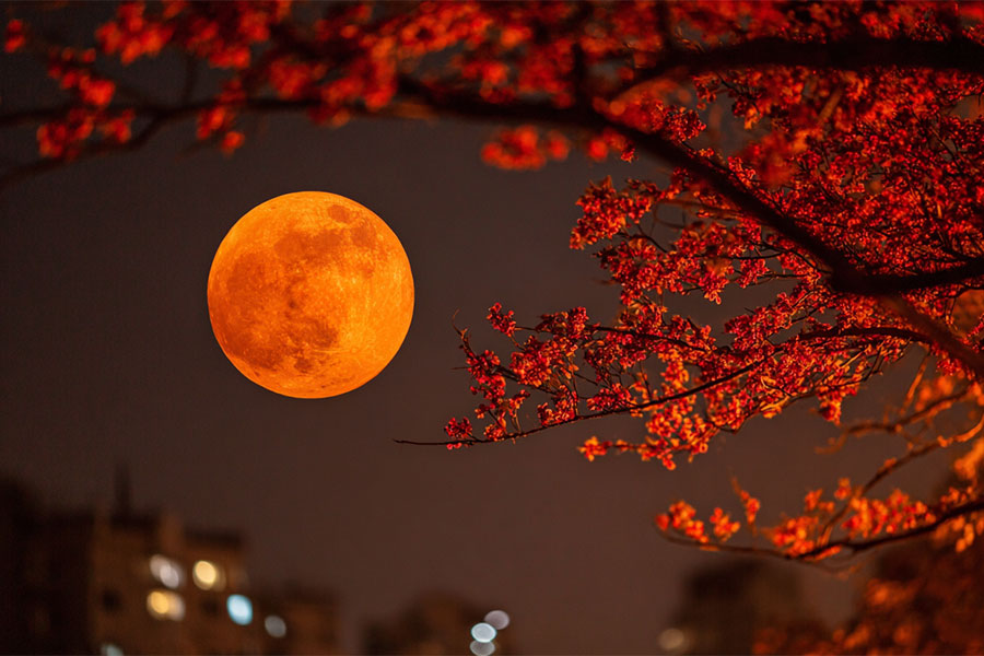 月滿中秋情更濃，久維智檢致敬每一位奮斗者！